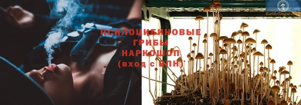 мяу мяу мука Аркадак