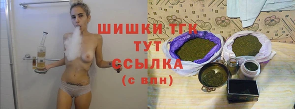 винт Осинники