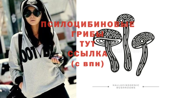 индика Липки
