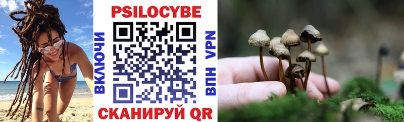 блэк спрут ссылки  Усть-Кут  Галлюциногенные грибы мицелий 